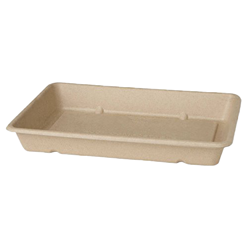 Bagasse Box ecoecho®